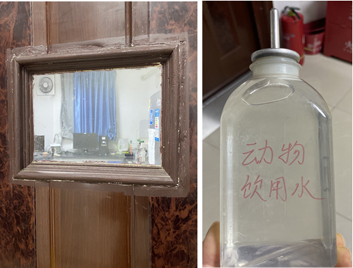 无标题.png